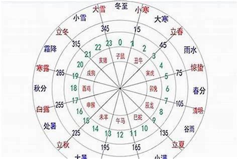 生辰八字 金木水火土